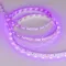 Минифото #2 товара Светодиодная лента RT 2-5000 12V Pink (3528, 300 LED, LUX) (Arlight, 4.8 Вт/м, IP20)