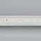 Минифото #2 товара Светодиодная лента RTW 2-5000PS-50m 24V White6000 (2835, 80 LED/m, LUX) (Arlight, 6 Вт/м, IP67)